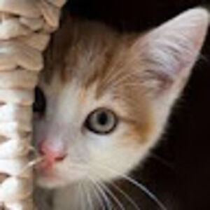 Meet your Posher, Caleb